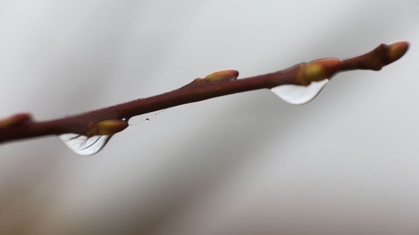 Im Oberharz kann das Thermometer nachts auch unter den Gefrierpunkt fallen. (Symbolbild) Foto: Matthias Bein/dpa