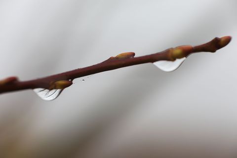 Im Oberharz kann das Thermometer nachts auch unter den Gefrierpunkt fallen. (Symbolbild) Foto: Matthias Bein/dpa