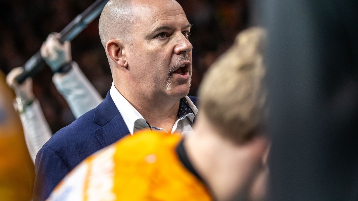 Volleyball-Bundesliga: BR Volleys holen wichtigen Sieg in Freiburg