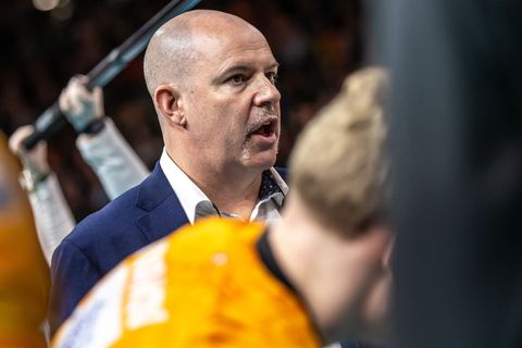Trainer Joel Banks feiert mit den Berlin Volleys einen wichtigen Sieg. Foto: Andreas Gora/dpa