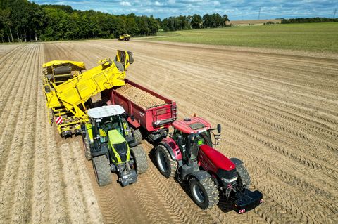 Die Kartoffelbauern haben in diesem Jahr eine sehr gute Ernte eingefahren - es sind sogar zu viele Kartoffeln, die Preise sind r
