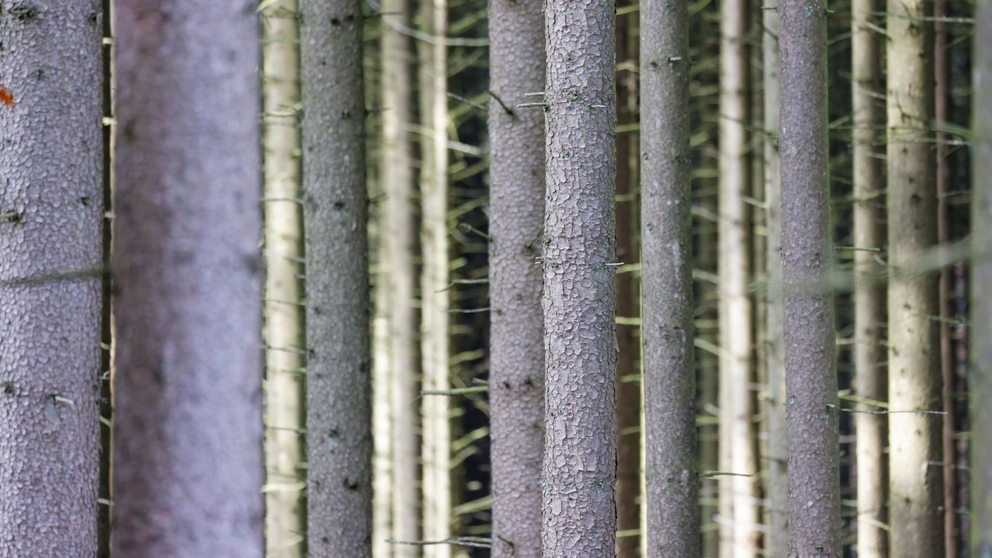 Zu Beginn der neuen Woche wird es in Nordrhein-Westfalen deutlich kühler. (Symbolbild) Foto: Thomas Banneyer/dpa