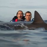 Auch dieser Horrorfilm war äußerst profitabel und spielte das 462,5-fache seines Budgets von 120.000 Dollar ein: "Open Water" (2006) handelt von einem Paar, das im Ozean gestrandet ist und gegen Haie und andere Gefahren ums Überleben kämpfen muss. Dabei war es gerade das niedrige Budget und der dokumentarische Ansatz des Films, die dem Film in Gefühl von Realismus und Spannung verleihen