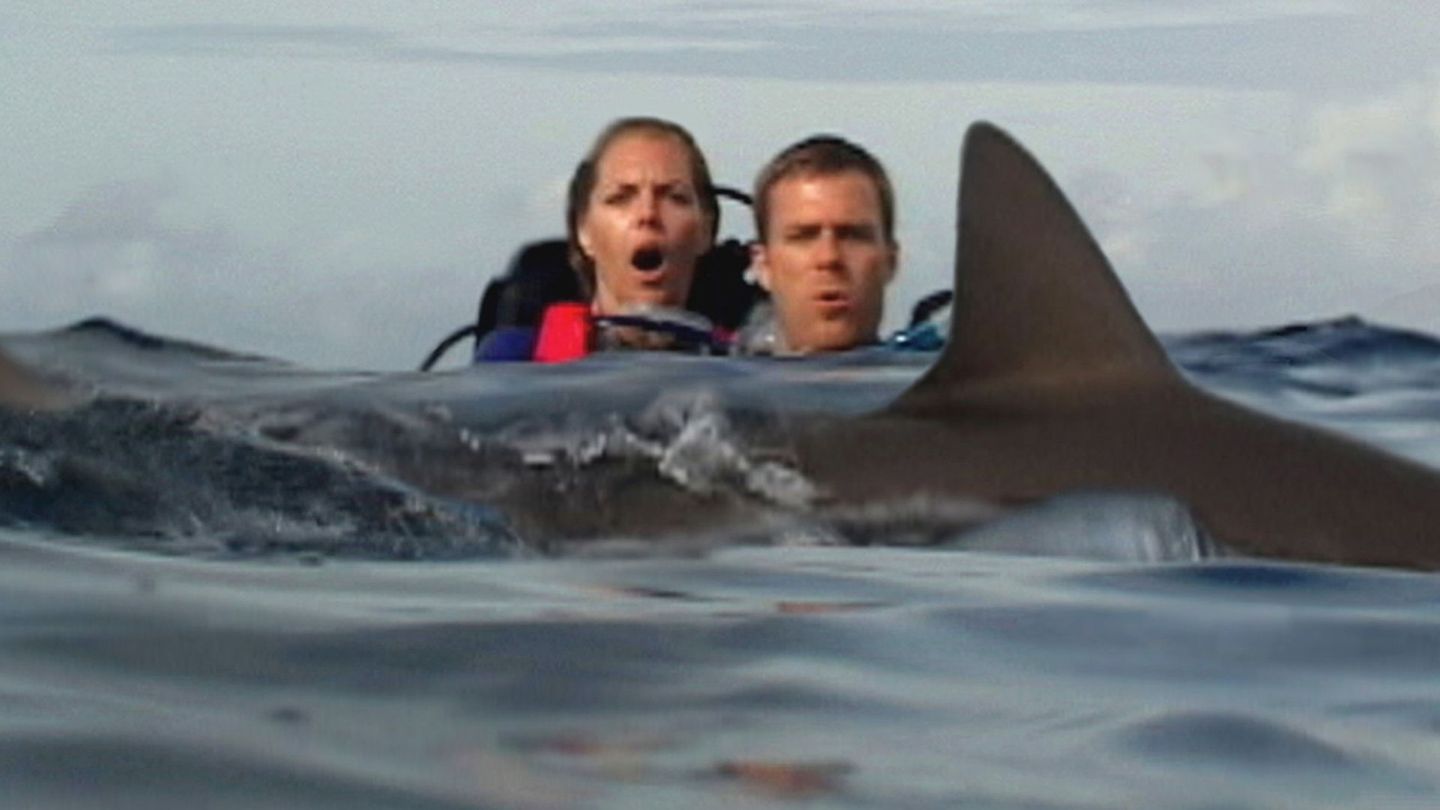 Auch dieser Horrorfilm war äußerst profitabel und spielte das 462,5-fache seines Budgets von 120.000 Dollar ein: "Open Water" (2006) handelt von einem Paar, das im Ozean gestrandet ist und gegen Haie und andere Gefahren ums Überleben kämpfen muss. Dabei war es gerade das niedrige Budget und der dokumentarische Ansatz des Films, die dem Film in Gefühl von Realismus und Spannung verleihen