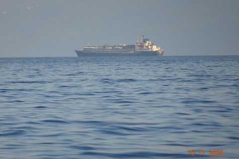 Das Viehtransportschiff "Spiridon II" stach vor zwei Monaten in See. An Bord: 2900 Rinder