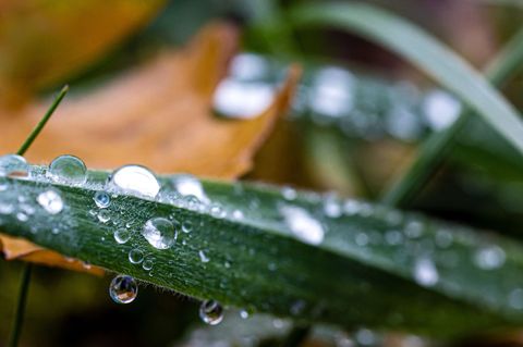 Nächste Woche heißt es: wärmer anziehen. Foto: Frank Hammerschmidt/dpa