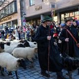 Nürnberg, Deutschland. Tim Gackstatter (l.) und Dirk Gissel führen Schafe durch die Waaggasse in der Nürnberger Innenstadt. Der Schafzug im November in Richtung der Winterweiden gehört seit Jahren zur Tradition in der Frankenmetropole