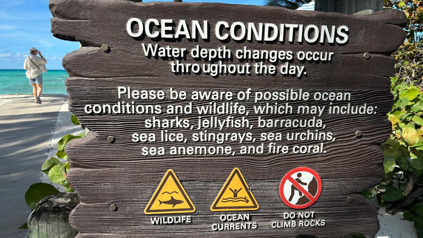 Disney Kreuzfahrt Castaway Cay