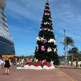 Disney Kreuzfahrt Castaway Cay