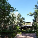 Disney Kreuzfahrt Castaway Cay