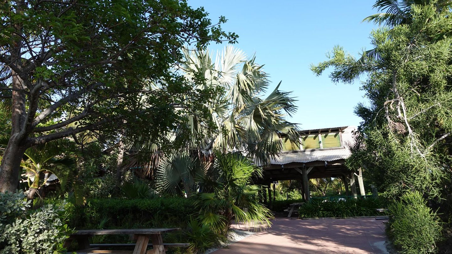 Disney Kreuzfahrt Castaway Cay