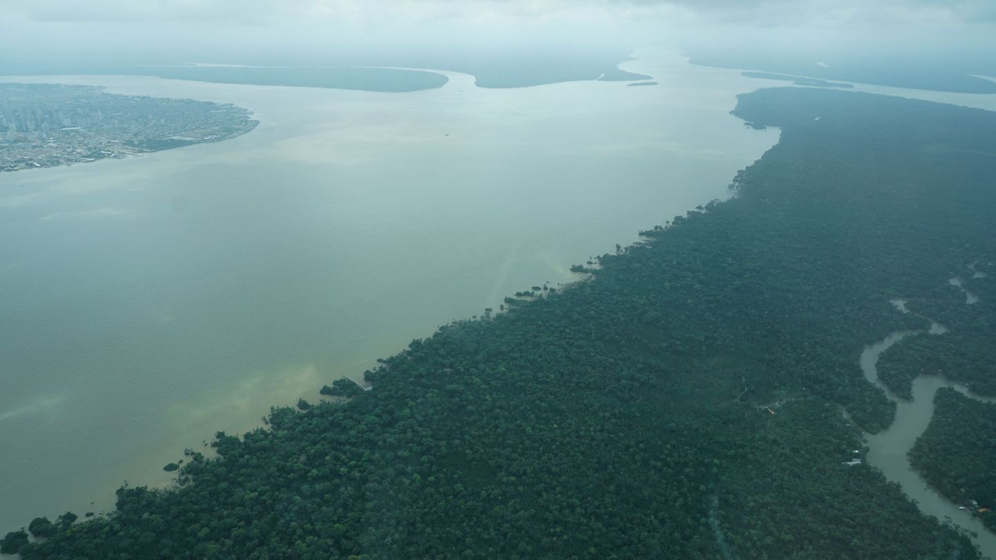 Amazonasgebiet: Amazonas im Stress – "auch in Berlin spürbar"