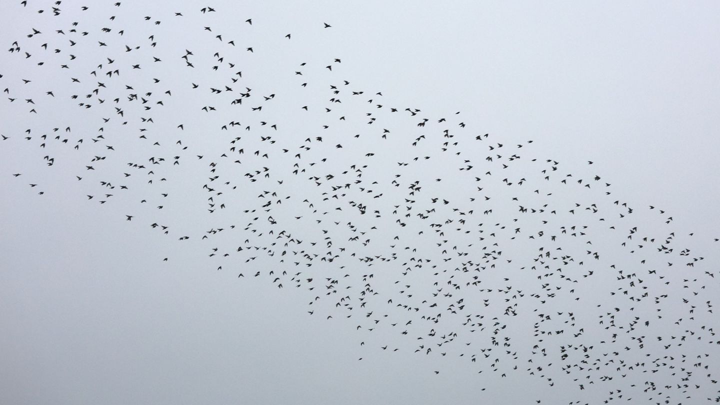 Wetter: Schnee und Glätte in Mitteldeutschland