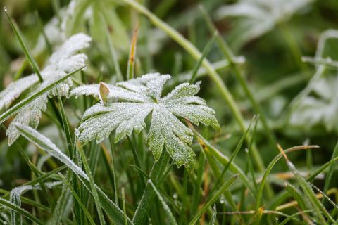 Nebel, Raureif und vielleicht auch Schnee in Hessen. Foto: Thomas Warnack/dpa