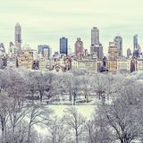 Central Park im Winter