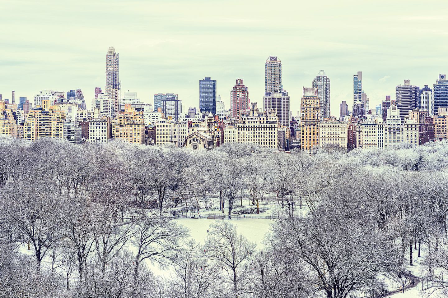 Central Park im Winter
