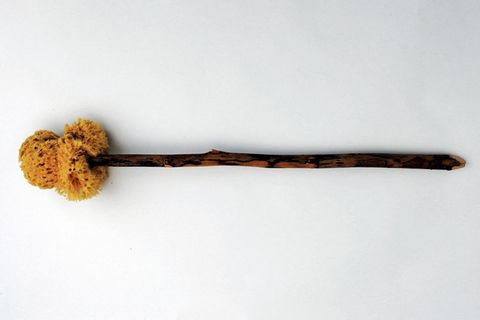 Das Xylospongium – eine gemeinsam genutzter "Schwamm am Stiel" im alten Rom?