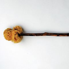 Das Xylospongium – eine gemeinsam genutzter "Schwamm am Stiel" im alten Rom?