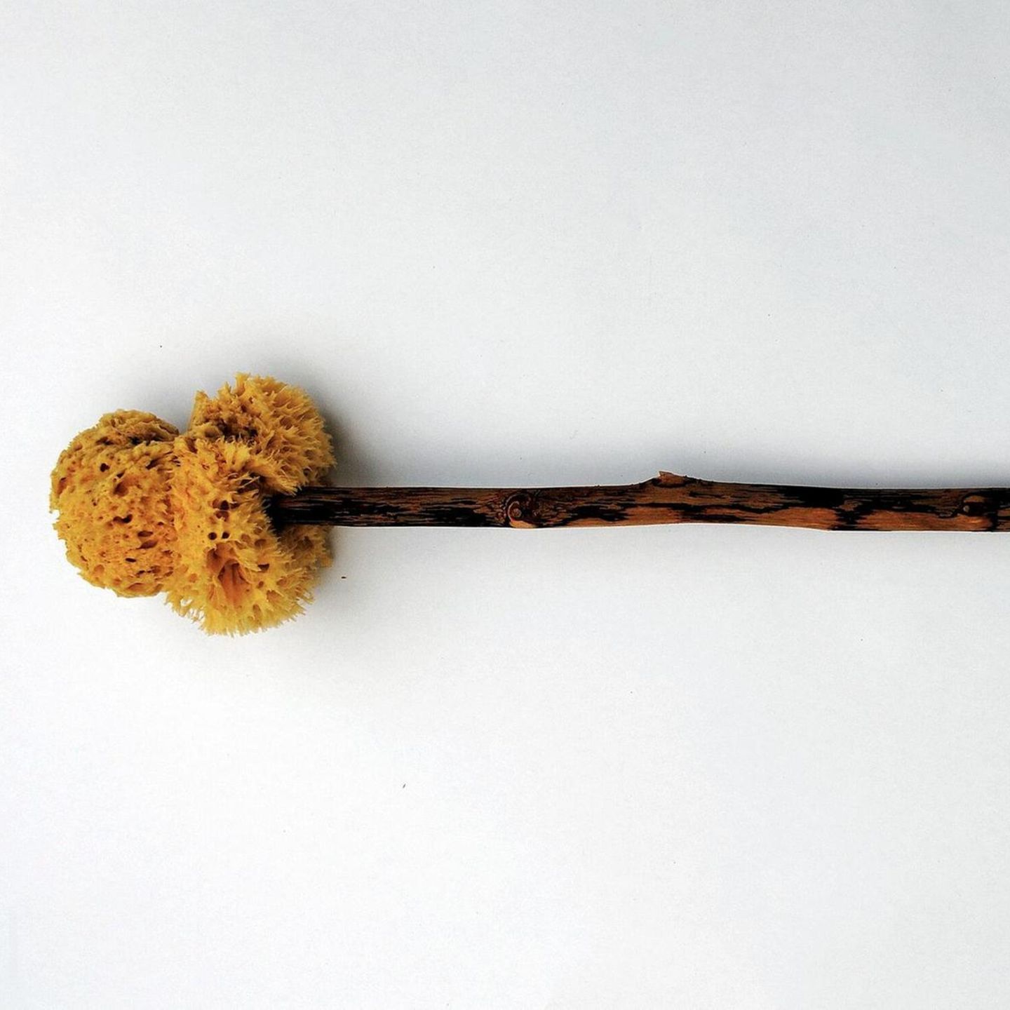 Das Xylospongium – eine gemeinsam genutzter "Schwamm am Stiel" im alten Rom?