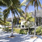 Gebäude zwischen Palmen