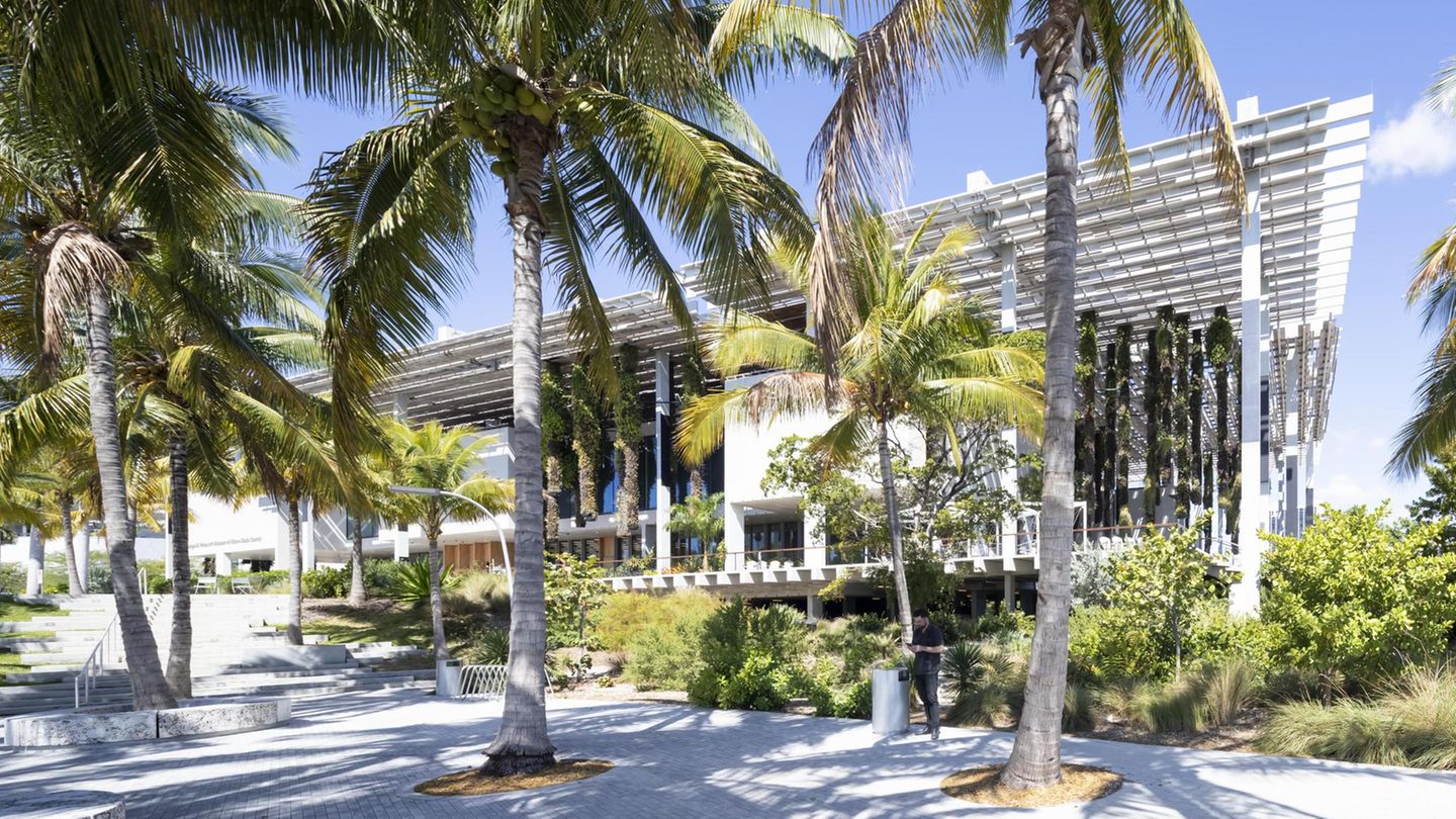 Gebäude zwischen Palmen