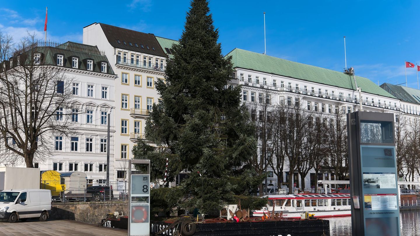 Die diesjährige Alstertanne ist an der Binnenalster angekommen. Foto: Marcus Golejewski/dpa