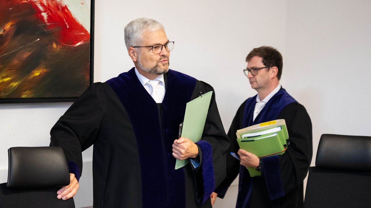 Das Verwaltungsgericht musste über eine Klage des AfD-Landesverbandes Niedersachsen entscheiden. Foto: Sina Schuldt/dpa