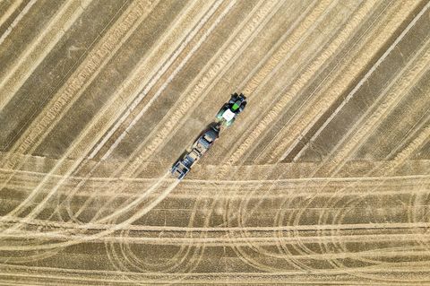 Der Investor kontrolliert mehr als 20.000 Hektar Agrarfläche. (Archivbild) Foto: Jan Woitas/dpa