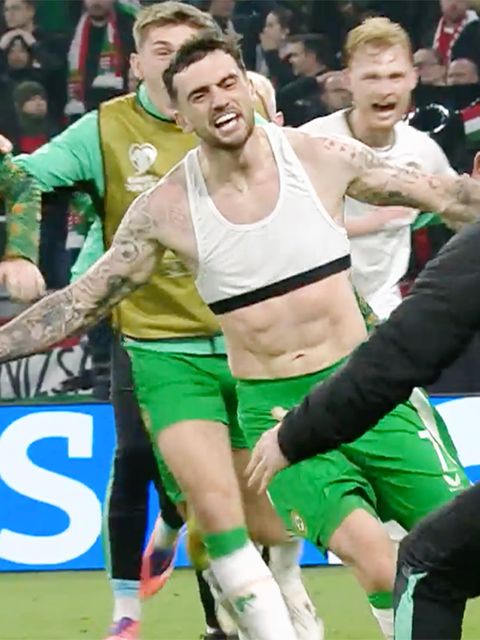 Mit diesem Tor zieht Irland in letzter Sekunde in WM-Playoffs ein