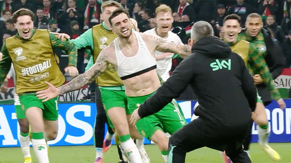 Mit diesem Tor zieht Irland in letzter Sekunde in WM-Playoffs ein