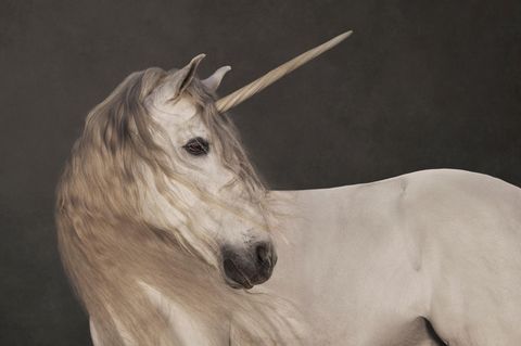 Weißes Einhorn als Fotokollage