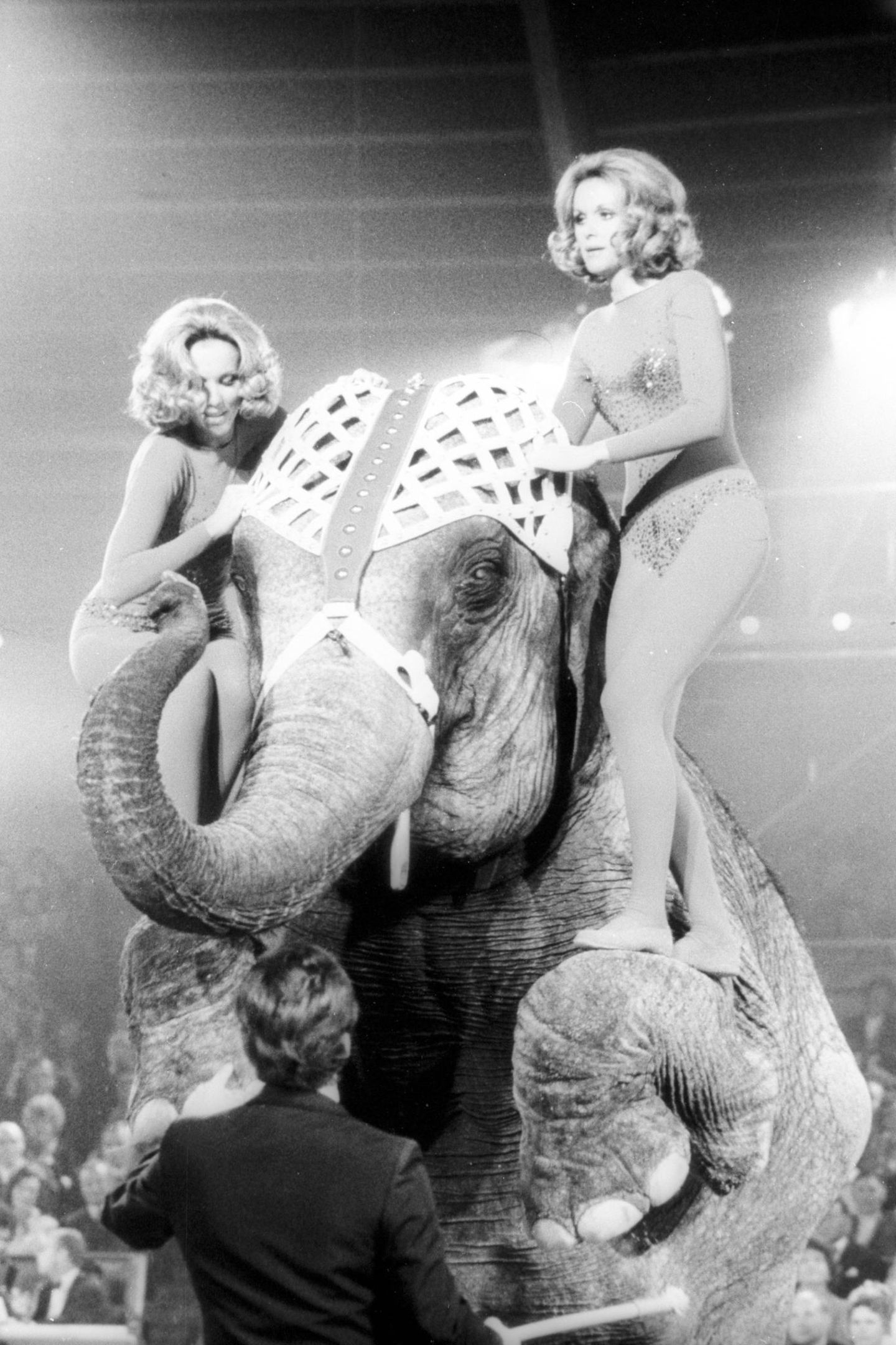 Die Kessler-Zwillinge sind ein fester Bestandteil im deutschen Fernsehen, etwa bei "Stars in der Manege" des Zirkus Krone in München