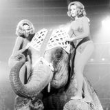 Die Kessler-Zwillinge sind ein fester Bestandteil im deutschen Fernsehen, etwa bei "Stars in der Manege" des Zirkus Krone in München