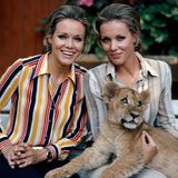 Die Star-Zwillinge 1970 mit einem Löwenjungen