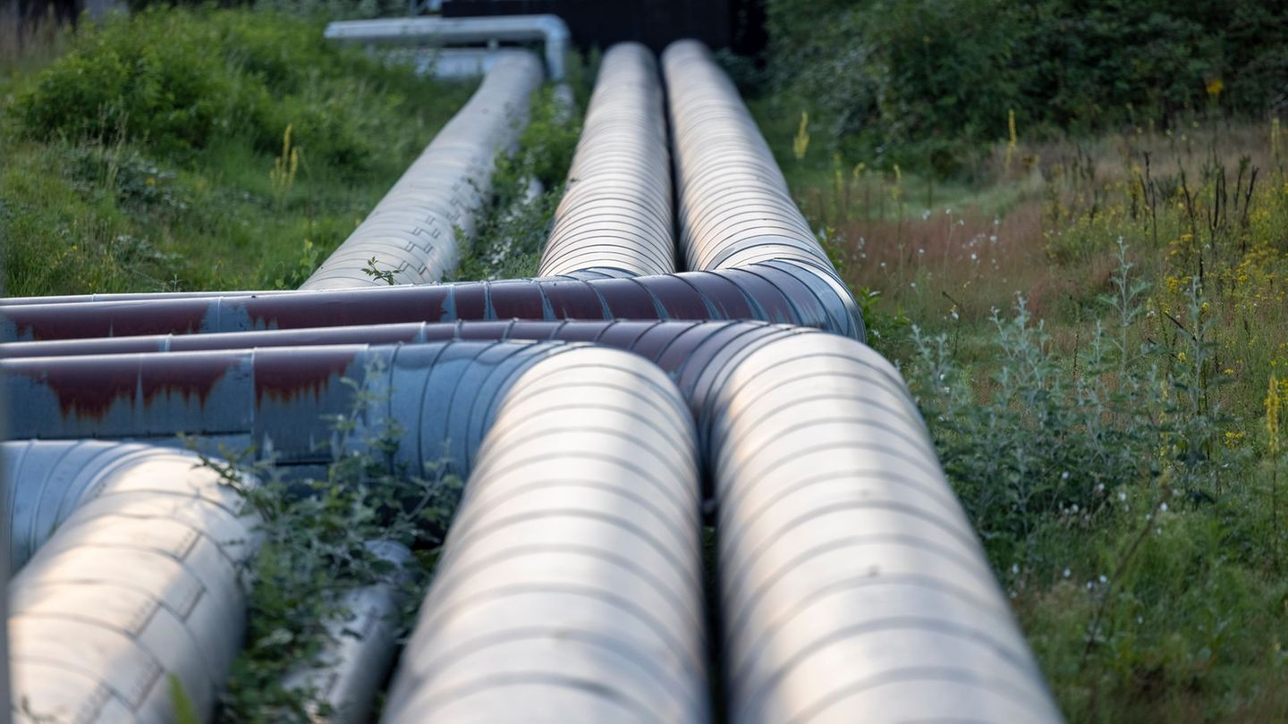 Energie: Wärmeplanung: Wie Halle als gutes Beispiel vorangeht