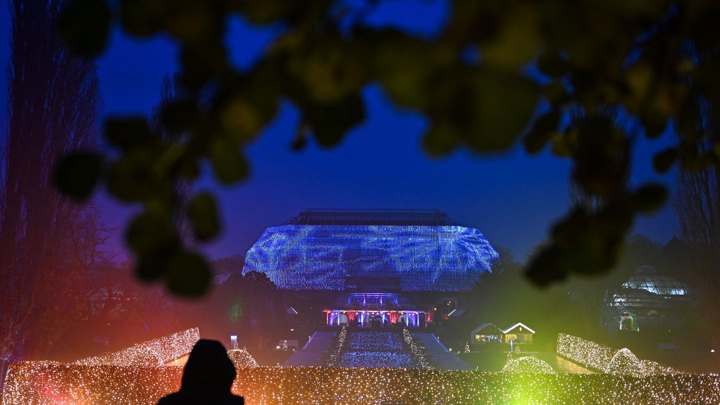 "Christmas Garden": Botanischer Garten erleuchtet weihnachtlich