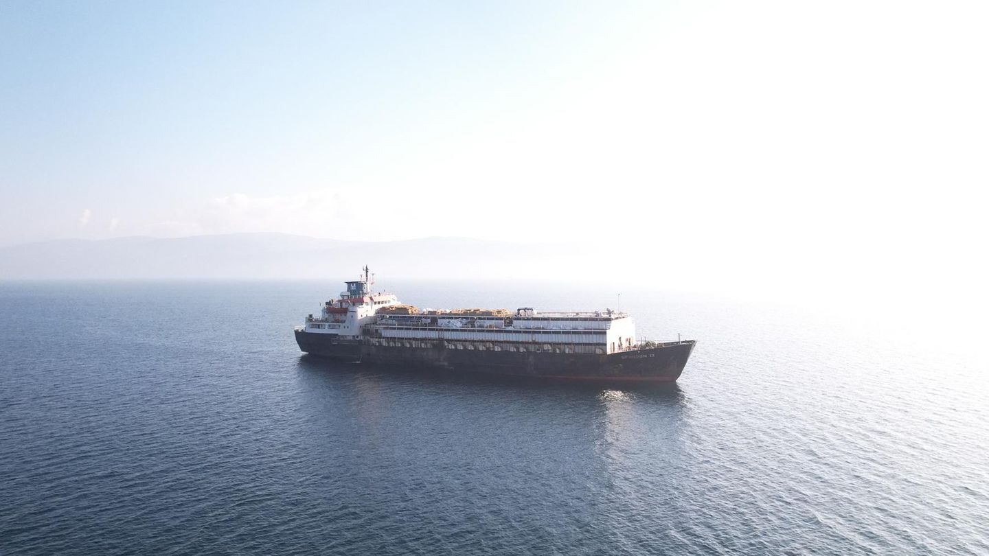 Wegen Einreiseverbot: Tausende Rinder siechen auf offenem Meer dahin