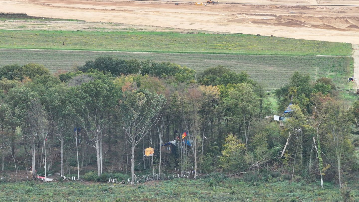 Braunkohle: Polizei räumt besetztes Waldstück am Tagebau Hambach