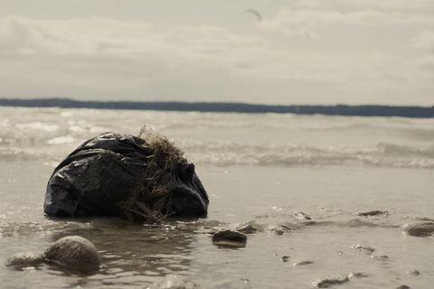 Dort wo es am schönsten ist, können die grausamsten Verbrechen geschehen. Die neue Doku-Reihe "Mord unter Palmen" erzählt die Geschichten von deutschen Reisenden.
