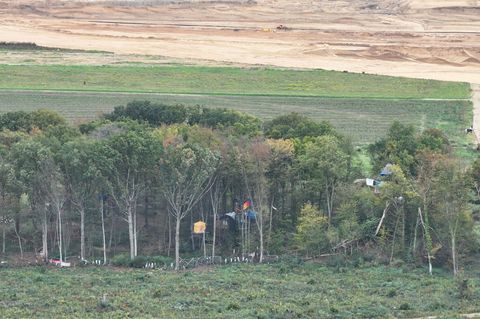 Blick auf das besetzte Waldstück am Tagebau Hambach mit Baumhäusern Ende Oktober