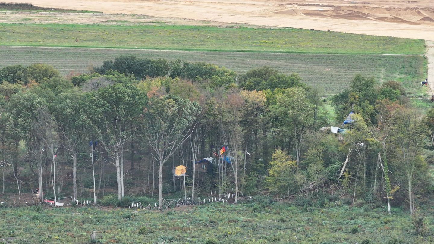 Braunkohlerevier-Polizei-r-umt-von-Aktivisten-besetztes-Waldst-ck-am-Tagebau-Hambach