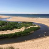 Wem gerade nicht nach Sanddünen und Salzwasser ist, kann auch am Fluss Nyrebäcken ein paar Stunden ins Landesinnere entlanglaufen. Oder dort Angeln. Frei fließt die Nyrebäcken im Naturschutzgebiet Möllegård