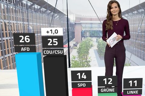 Trendbarometer: BSW verschwindet, Union holt zu AfD auf, Merz im Keller