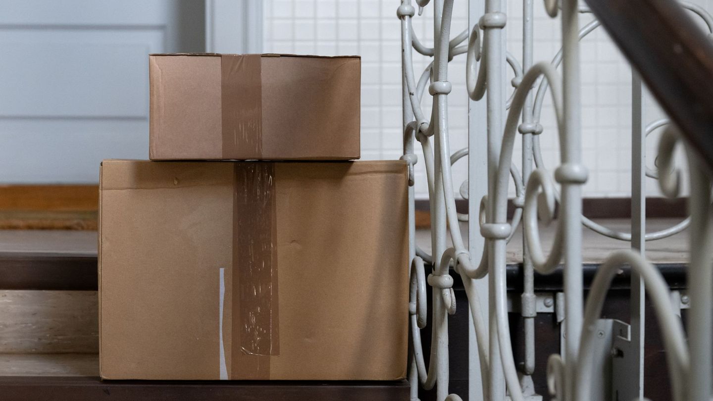 In der Packstation: Frau gibt versehentlich Katze im Paket auf