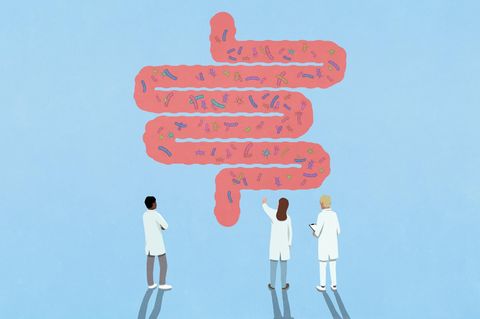 Autismus: Die Illustration zeigt drei Wissenschaftler, die Bakterien in einem Darmmodell betrachten