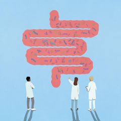 Autismus: Die Illustration zeigt drei Wissenschaftler, die Bakterien in einem Darmmodell betrachten