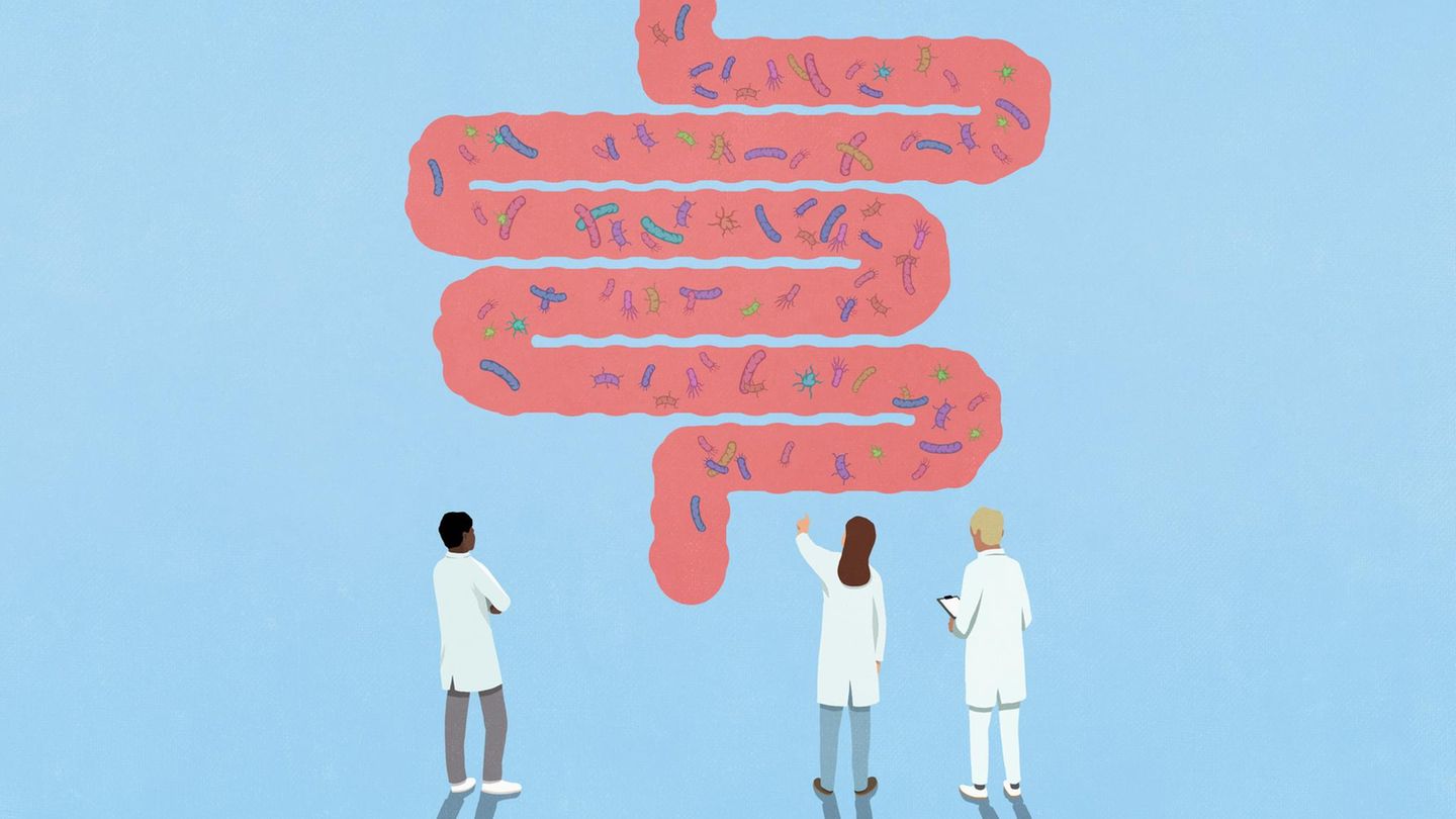 Autismus: Die Illustration zeigt drei Wissenschaftler, die Bakterien in einem Darmmodell betrachten