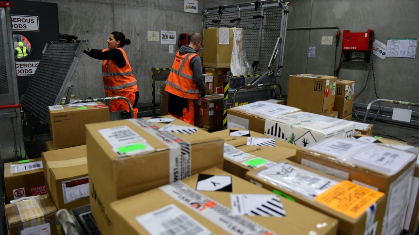 Miauen in Paketshop: Frau in Bayern gibt versehentlich Päckchen mit Katze auf