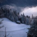 St. Margrethenberg, Schweiz. Der Winter naht und produziert Bilder, die einem Traum entsprungen zu sein scheinen. Oder einer Künstlerseele oder einer KI. Wie auch immer – die kleine Waldscheune sieht nach dem ersten Schneefall sehr pittoresk aus