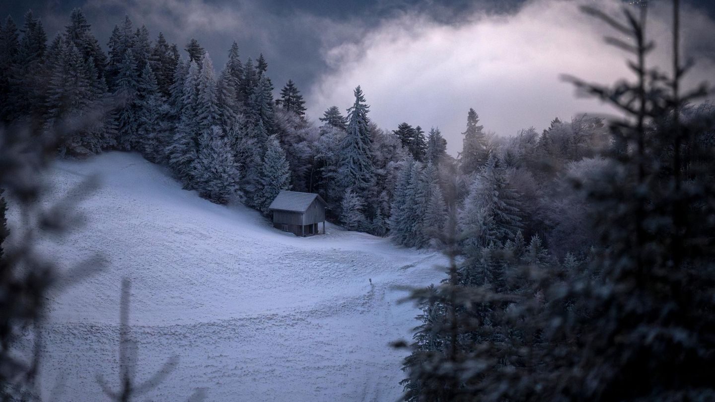 St. Margrethenberg, Schweiz. Der Winter naht und produziert Bilder, die einem Traum entsprungen zu sein scheinen. Oder einer Künstlerseele oder einer KI. Wie auch immer – die kleine Waldscheune sieht nach dem ersten Schneefall sehr pittoresk aus